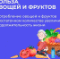 С 13 по 19 проходит неделя популяризации потребления овощей и фрукто - Гиагинский район
