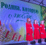В Центральном парке ст. Гиагинской проходит торжественное мероприятие, посвящённое празднованию Дня рождения Республики Адыгея - Гиагинский район